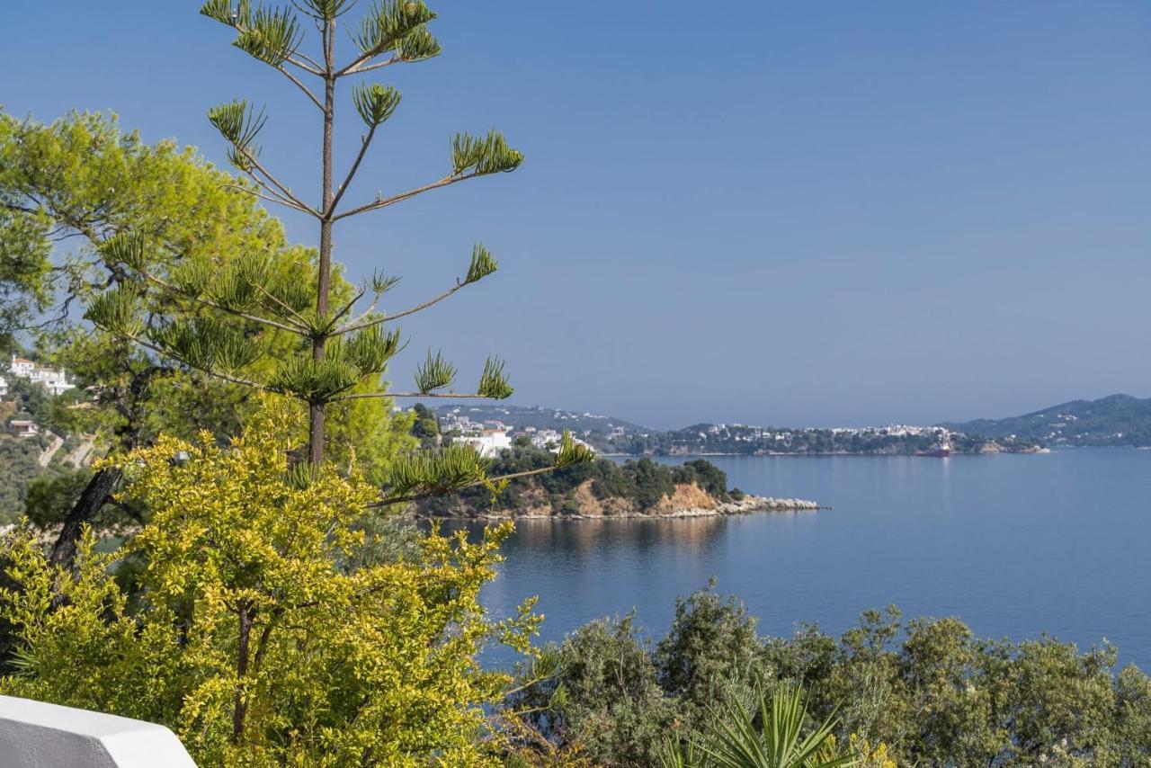 Super Luxury Skiathos Villa Seven Stunning Bedroom Suites Villa Daphne Achliades Achladies  Esterno foto